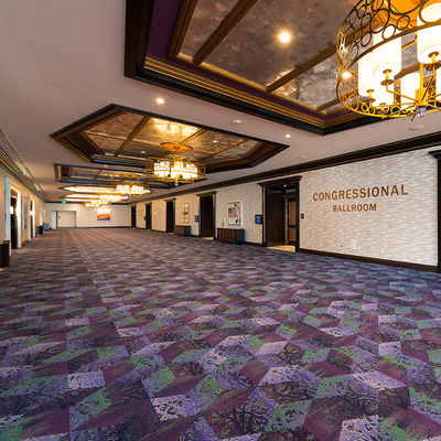 映画 劇場 宴会 堂 と 壁 から 壁 まで の カーペット